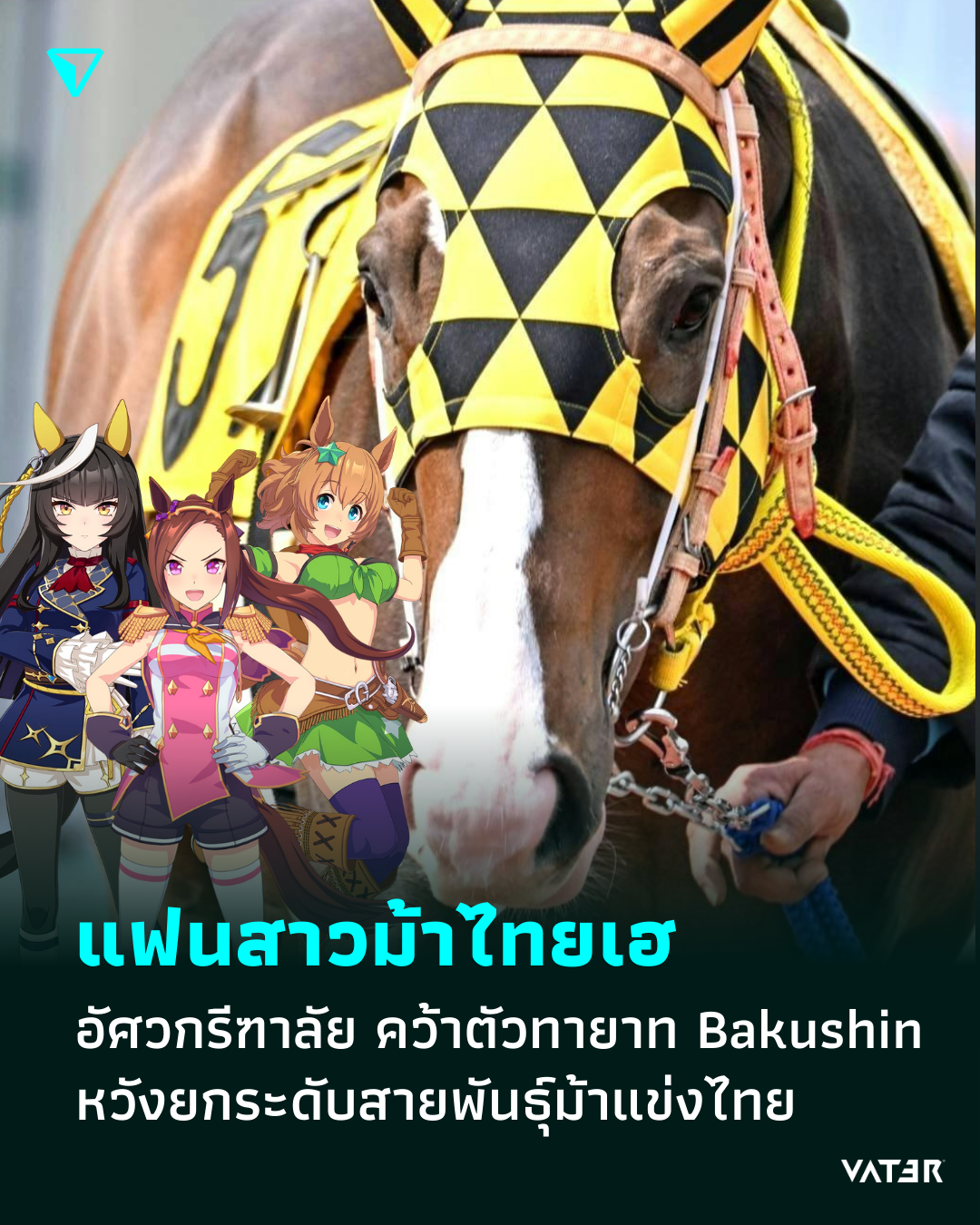 ภาพประกอบข่าว แฟนสาวม้าไทยเฮ อัศวกรีฑาลัย คว้าตัวทายาท Bakushin หวังยกระดับสายพันธุ์ม้าแข่งไทย