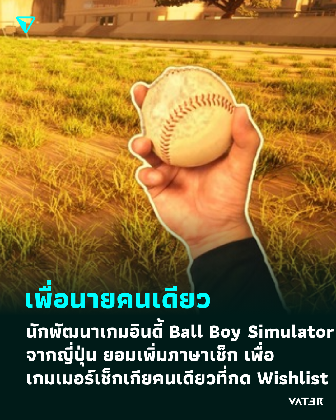 ภาพประกอบข่าว เพื่อนายคนเดียว นักพัฒนาเกมอินดี้ Ball Boy Simulator จากญี่ปุ่น ยอมเพิ่มภาษาเช็ก เพื่อเกมเมอร์เช็กเกียคนเดียวที่กด Wishlist