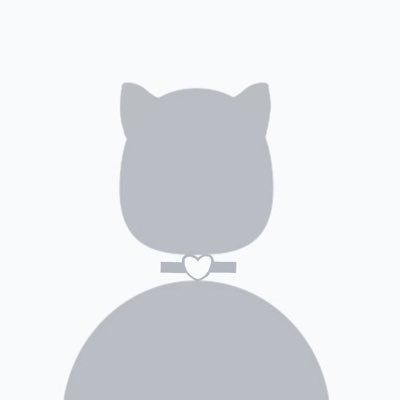 charlottemalaew profile photo
