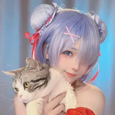 团宝 profile photo
