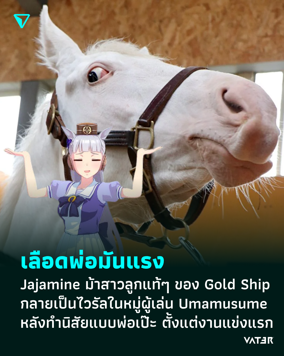ภาพประกอบข่าว เลือดพ่อมันแรง Jajamine ม้าสาว ลูกแท้ๆ ของ Gold Ship กลายเป็นไวรัลในหมู่ผู้เล่น Umamusume หลังทำนิสัยแบบเดียวกับพ่อเป๊ะ ตั้งแต่งานแข่งแรก