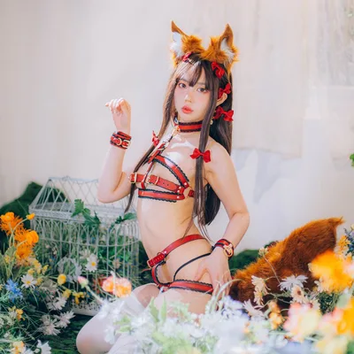 shiki profile photo