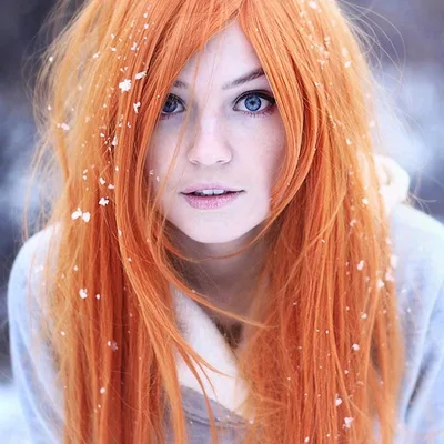 Tanuki Tinka Asai profile photo