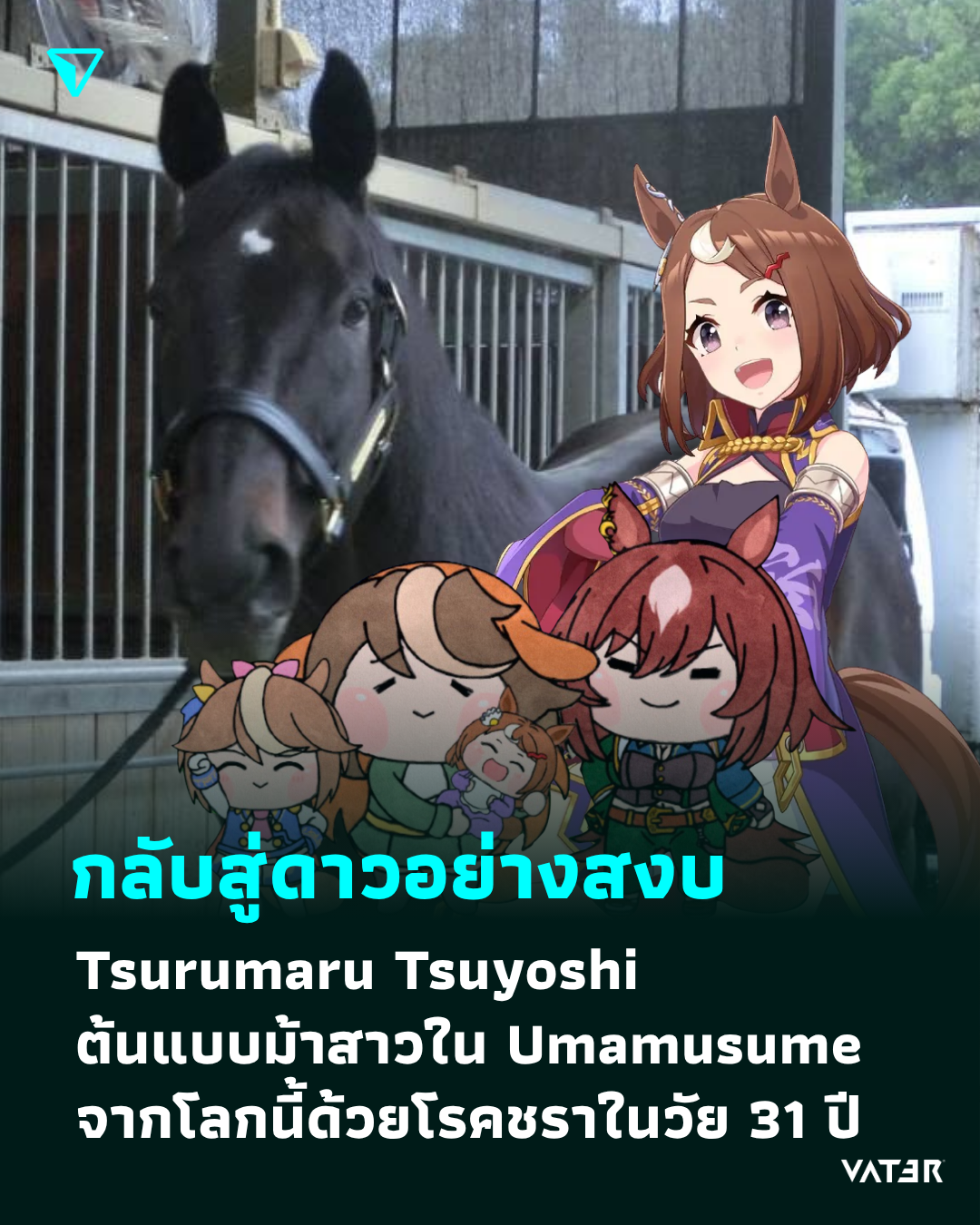 ภาพประกอบข่าว กลับสู่ดาวอย่างสงบ Tsurumaru Tsuyoshi ต้นแบบม้าสาวใน Umamusume จากโลกนี้ไปด้วยโรคชราในวัย 31 ปี