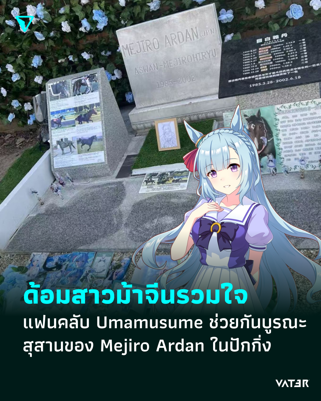 ภาพประกอบข่าว ด้อมสาวม้ารวมใจ แฟนคลับ Umamusume ช่วยกันบูรณะหลุมศพของ Mejiro Ardan ในจีน