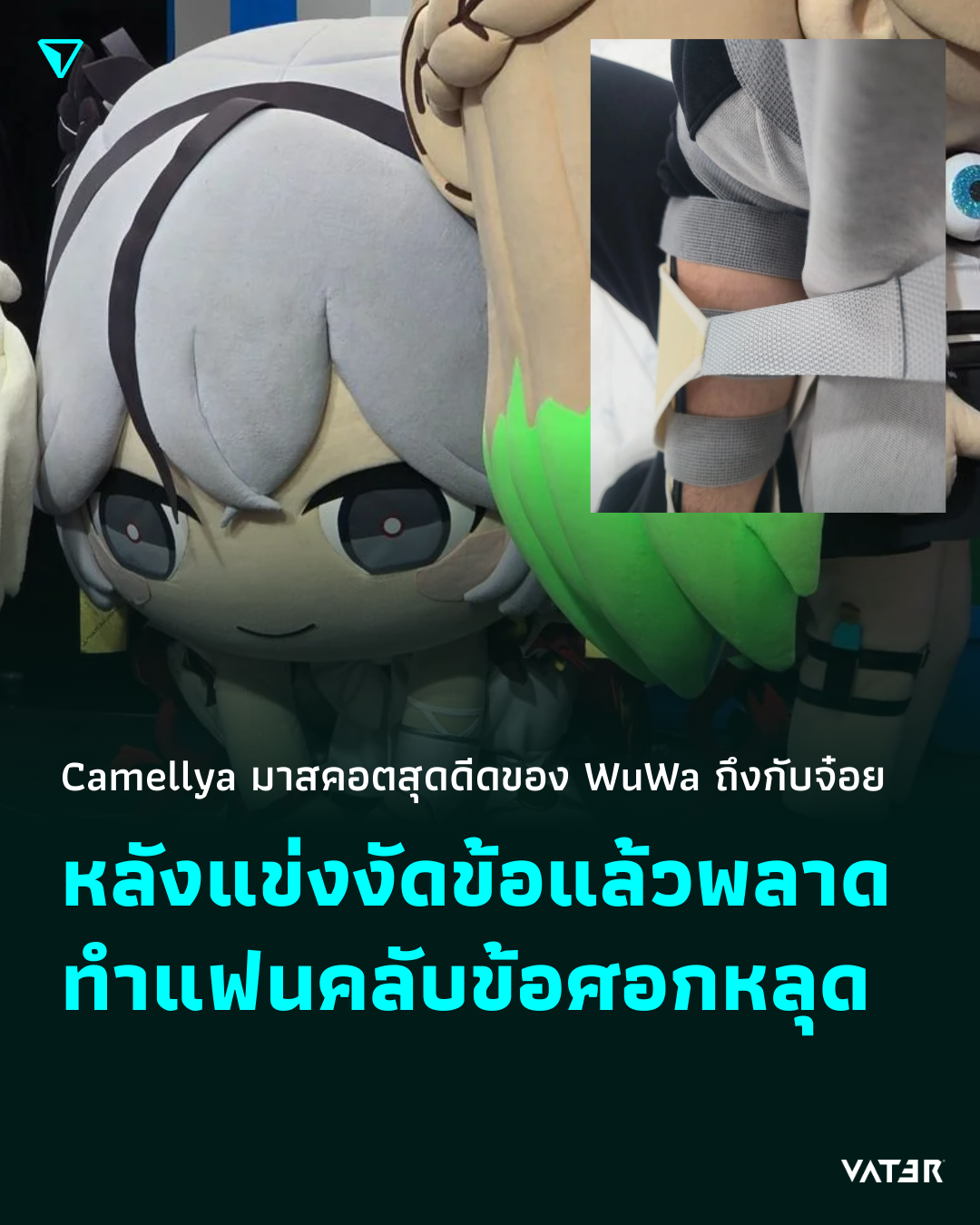 ภาพประกอบข่าว Camellya มาสคอตสุดดีดของ WuWa ถึงกับจ๋อย หลังแข่งงัดข้อแล้วพลาด แฟนคลับข้อศอกหลุด
