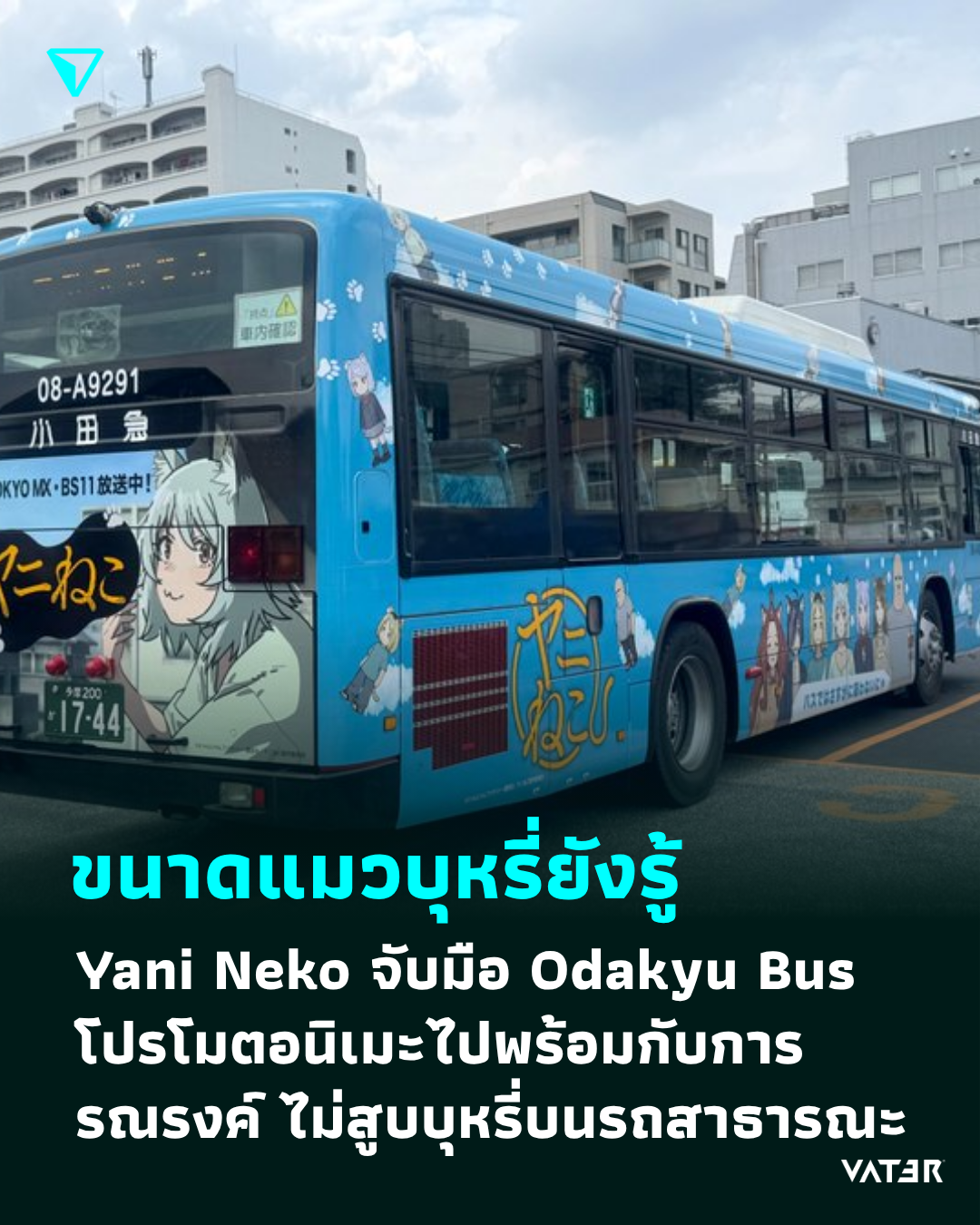 ภาพประกอบข่าว ขนาดแมวบุหรี่ยังรู้ Yani Neko จับมือ Odakyu Bus โปรโมตอนิเมะไปพร้อมกับการรณรงค์ ไม่สูบบุหรี่บนรถสาธารณะ